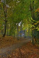 Cjp_2009_10_29_161255 (1)_HDR-D1.jpg